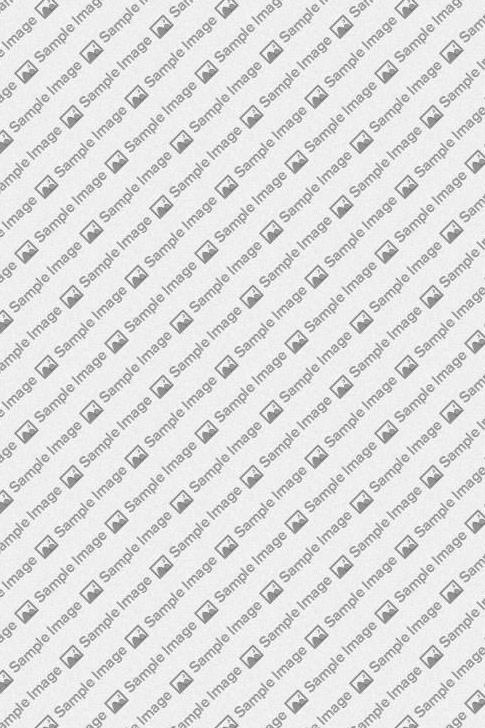 Make a Beautifully Stylish Website